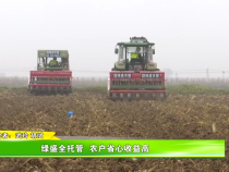 綠盛全托管  農(nóng)戶省心收益高