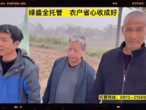 绿盛全托管 农户省心收成好