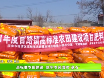 高标准农田建设  筑牢农民增收“基石”