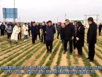 全省小麦长势及苗情观摩会在渭南召开