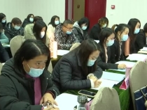 全市低保等审核确认权限下放镇（街）社会救助业务培训班举行