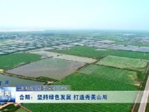 渭南新闻12月12日
