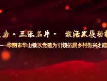 聚力“三张名片” 激活发展动能——华阴市华山镇以党建为引领拓展乡村振兴之路