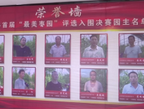 大荔“最美枣园”评选 促“首位产业”提质增效