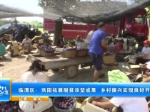 临渭区：巩固拓展脱贫攻坚成果  乡村振兴实现良好开局