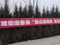 韩城市金城街道：跑出加速度 拔出精气神