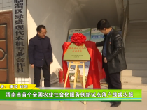 渭南市首个全国农业社会化服务创新试点落户绿盛农服