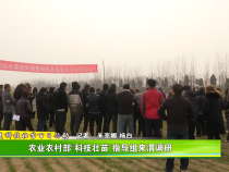 农业农村部“科技壮苗”指导组来渭调研