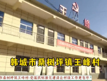 韩城市桑树坪镇王峰村：党组织标准化建设让村级工作更有序