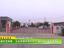 韩城市芝阳镇：企业多措并举忙开工 镇村强化服务提效能