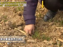 “三贴近”技术服务到底是个啥？