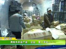 渭南市农业产业（企业）复工率达96.6%