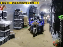 种植 养殖 储藏加工 渭南市农业企业全面开工了