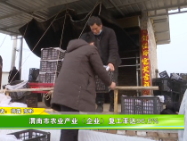 渭南市农业产业（企业）复工率达96.6%