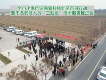 渭南市小麦科技壮苗百日行动暨千名农技人员“三贴近”技术服务推进会举行！