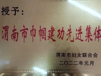 渭南市儿童福利院荣获市级“巾帼建功先进集体”荣誉称号