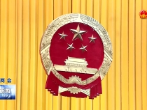 渭南新闻3月26日