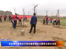 長安銀行渭南分行舉辦植樹造林黨日團(tuán)日活動