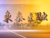 3月3日東秦金融