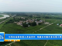 引导社会资本投入农业农村  构建乡村振兴多元投入格局