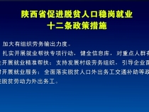 陕西省促进脱贫人口稳岗就业十二条政策措施