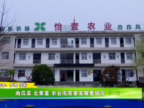 南瓜菜 北果畜 农业高质量发展看留古（一）