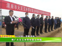 推广大豆玉米带状复合种植