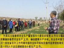 农业农村部下沉一线包省包片工作专班来渭调研