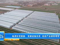 临渭区官路镇：发展设施瓜菜  促进产业提质增效