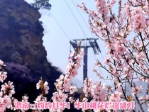 风景秀丽的西岳华山