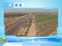 3月16日一线速递