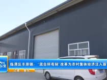 临渭区丰原镇：“混合所有制”改革为农村集体经济注入新动能