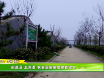 南瓜菜 北果畜 农业高质量发展看留古（一）