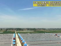 阳春三月春意浓 瓜坡蔬菜销售忙