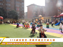 315诚信宣言-渭南市诺贝尔幼儿园