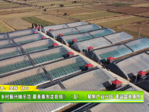 《乡村振兴做示范 最美秦东走在前》（五）：聚焦产业兴旺 建设富美秦东
