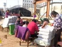 临渭区阳郭镇灵阳村：香菇产业鼓起村民钱袋子