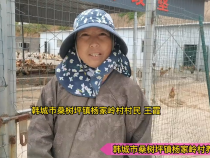 韩城市桑树坪镇：做产业要因地制宜