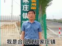 合阳县和家庄镇七一村24棚羊肚菌成熟上市