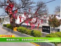 朝邑镇西三村：营造美丽庭院 共建美好乡村