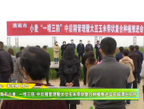 渭南市小麦 “一喷三防”中后期管理暨大豆玉米带状复合种植推进会在临渭区召开
