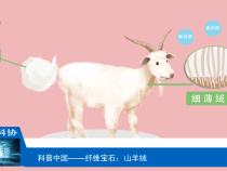 【渭南科普】纤维宝石——山羊绒
