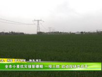 全市小麦抗灾强管穗期“一喷三防”启动现场会召开