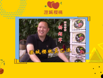 澄城樱桃甜蜜蜜——四川客商 杨绍军：澄城樱桃真巴适