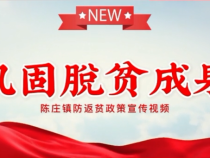 蒲城县陈庄镇：防返贫政策宣传视频