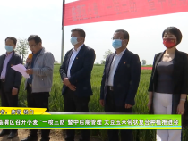 临渭区召开小麦 “一喷三防”暨中后期管理 大豆玉米带状复合种植推进会