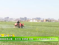 蒲城县尧山镇：多方位 多渠道 保障7.3万亩旱塬地小麦丰产