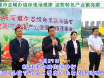 韩城市金城办组织现场观摩 这些特色产业很亮眼