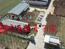 合阳县和家庄镇：乡村振兴齐“开花”