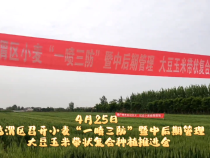 再安排 再强调 再推动 临渭区召开小麦“一喷三防”暨中后期管理、大豆玉米带状复合种植推进会